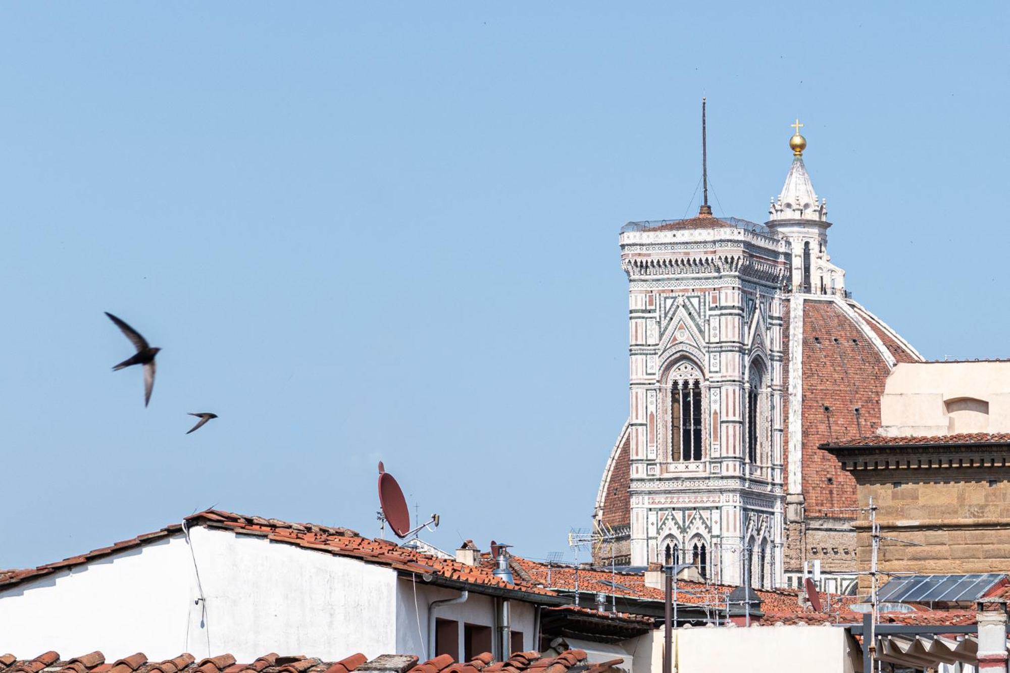 Parione Loft In Town Center Lejlighed Firenze Eksteriør billede